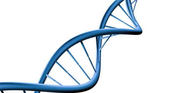 檢測(cè)游離DNA