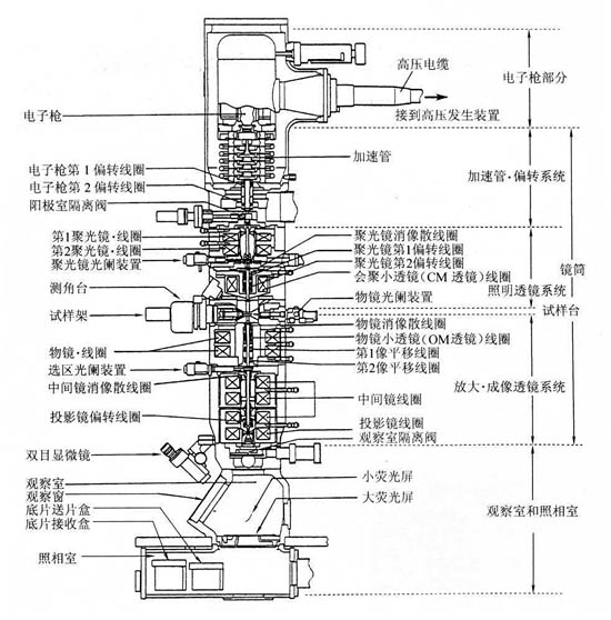 透射電鏡結(jié)構(gòu)圖