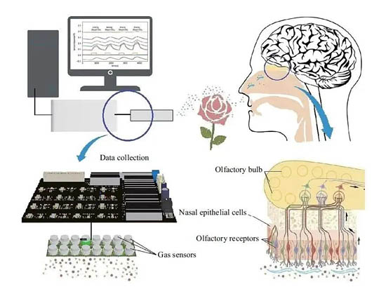 印刷氣體傳感器陣列中的“電子鼻”