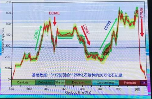  古生代海洋生物多樣性曲線(xiàn)與重要演化事件