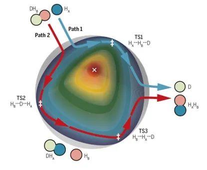 H + HD反應(yīng)的兩條途徑