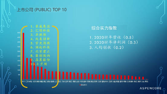 上市公司 (PUBLIC) Top 10