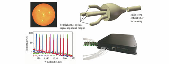 圖1 基于四芯光纖的三維形狀傳感系統(tǒng)的關(guān)鍵部件